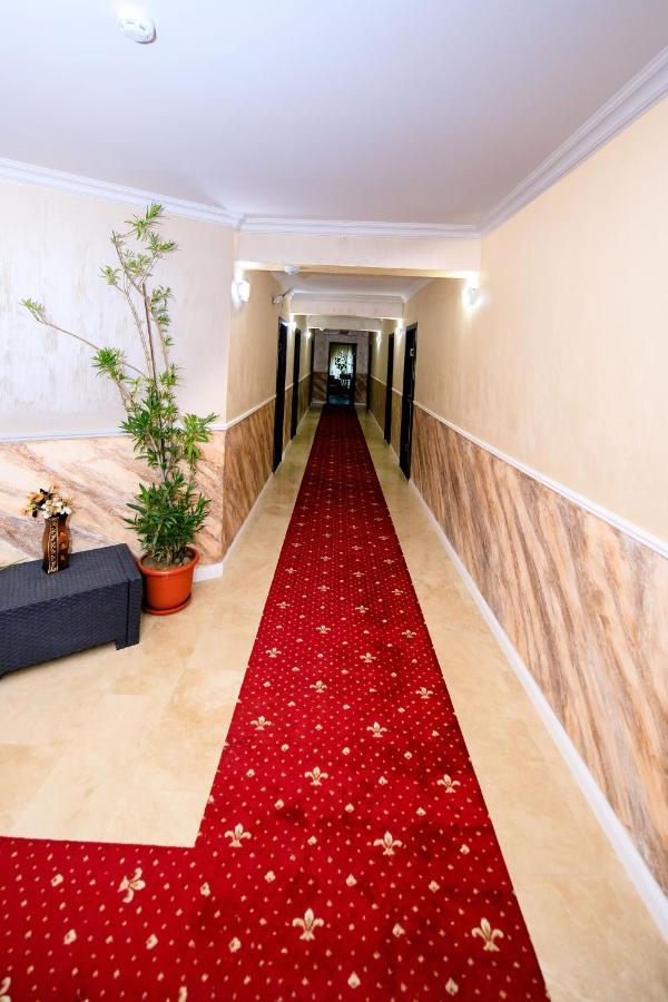 Pensiunea Grande Lepsa Lepşa Exterior foto